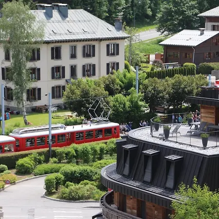 Mont-blanc Idealement Situe * Chamonix